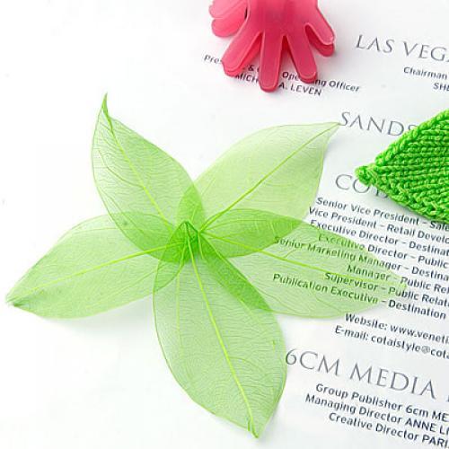 Natural Catbrier Skeleton Leav - Embellish Craft ulasan dan harga