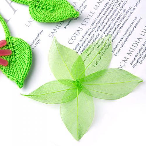 Natural Catbrier Skeleton Leav - Embellish Craft ulasan dan harga