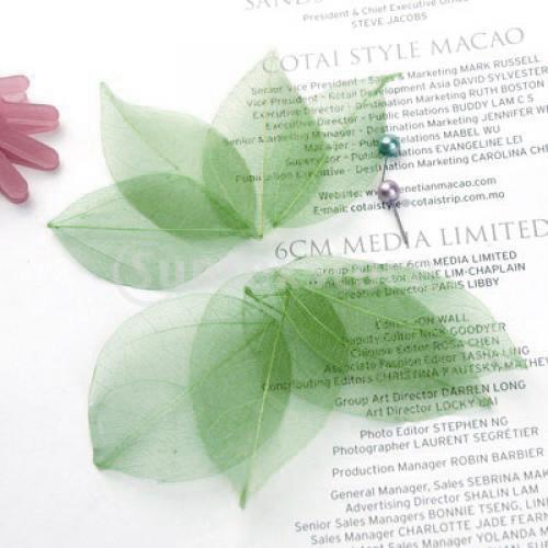 Natural Catbrier Skeleton Leav - Embellish Craft ulasan dan harga